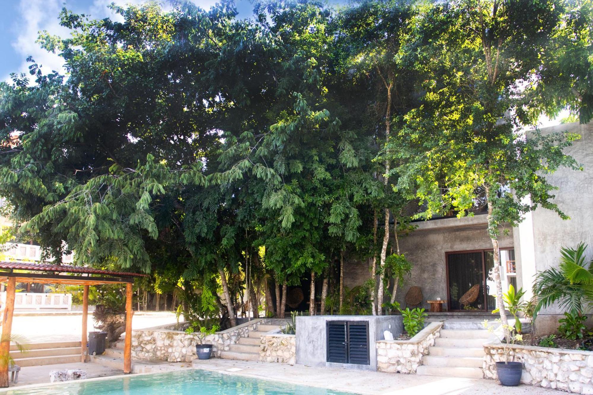 Hotel Casa Tortuga Tulum - Cenotes Park Inclusive ภายนอก รูปภาพ Casa Periódica, Mérida, Yucatán, Mexico
