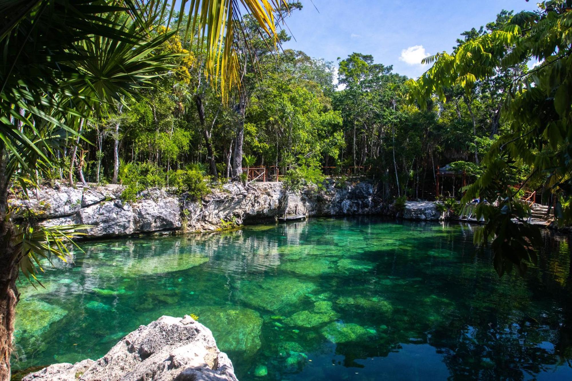 Hotel Casa Tortuga Tulum - Cenotes Park Inclusive ภายนอก รูปภาพ Cenote in Yucatán