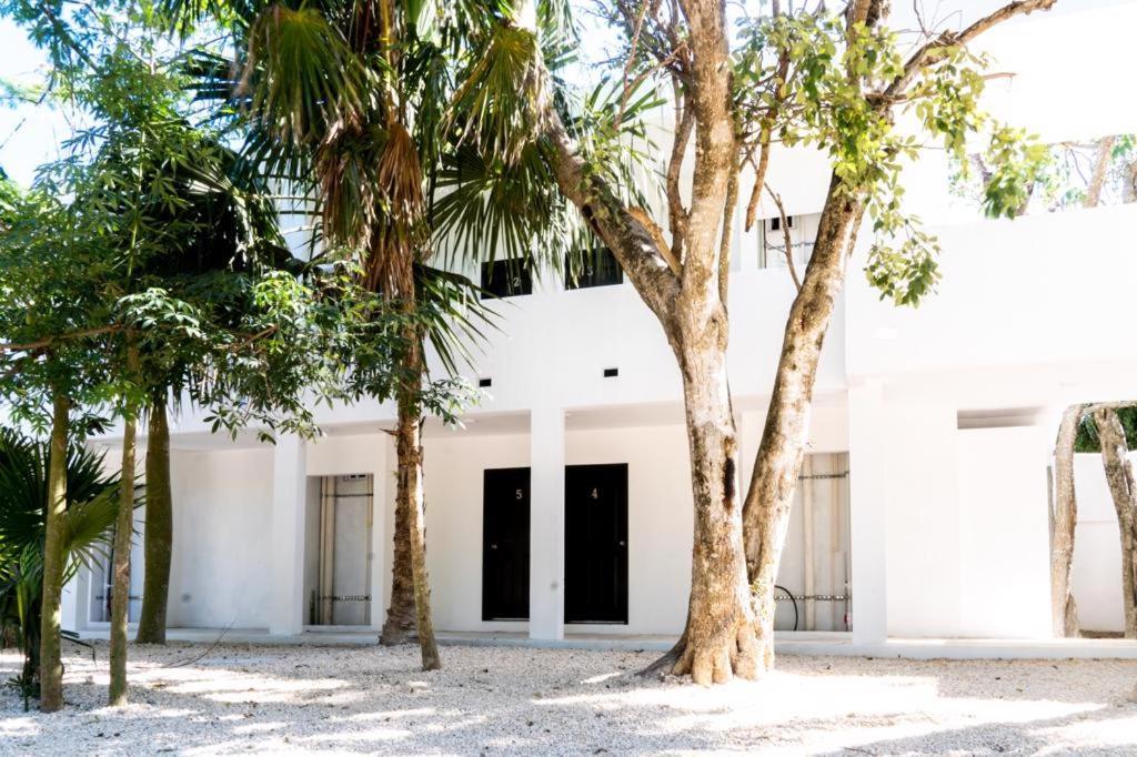 Hotel Casa Tortuga Tulum - Cenotes Park Inclusive ภายนอก รูปภาพ The house of the writer, in Mérida, Yucatán.